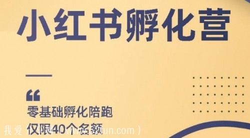 勇哥小红书撸金快速起量项目：教你如何快速起号获得曝光，做到月躺赚在3000+