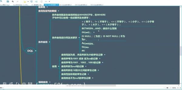 Vue深入浅出从基础到项目实践课程 打造拼多多商城项目